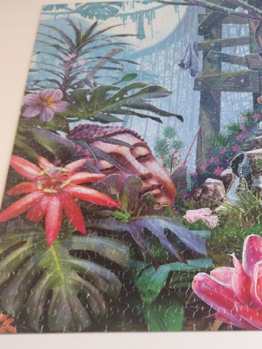 Smithsonian Puzzle - Picture 5 of 7